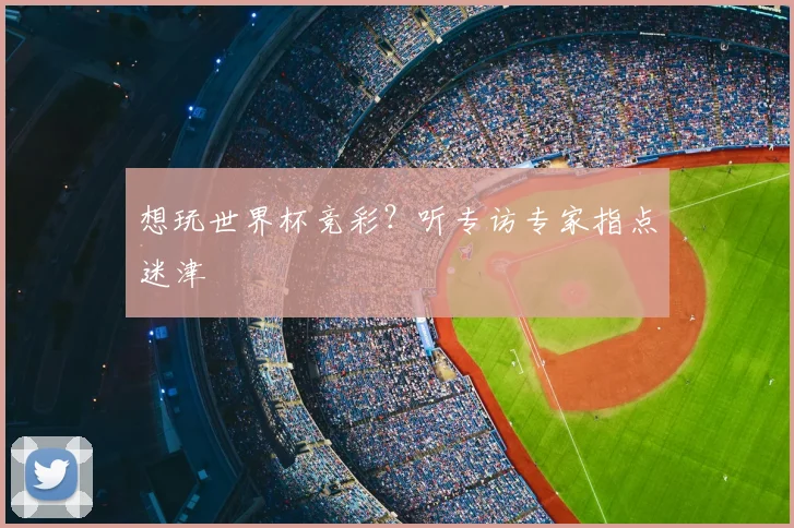想玩世界杯竞彩?听专访专家指点迷津