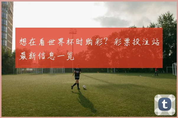 想在看世界杯时购彩?彩票投注站最新信息一览